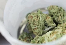 Find High- Potency Cannabis Concentrates and CA Purchase Locations