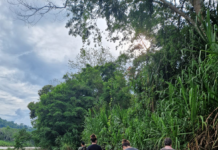 Explore Peru’s Hidden Wilderness with Unforgettable Jungle Adventures