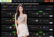 Live Football and Match Results: Stay Updated with Truc Tiep Bong Da