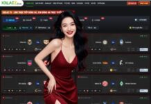 Bong Da Truc Tiep: Your Complete Guide to Tỷ Lệ Kèo Trực Tiếp Bóng Đá