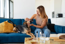 Top Health Advantages Of Using CBD Oil For Pet Dogs