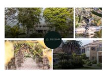Service Comparison Guide for Choosing Rehab in Gauteng
