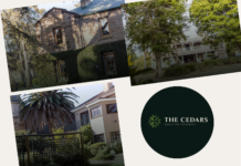 Choosing the Right Digital Marketing Agency in South Africa